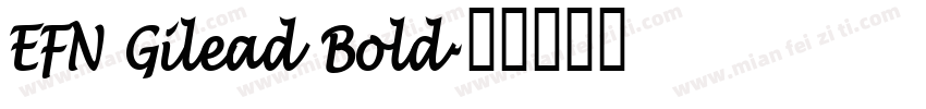 EFN Gilead Bold字体转换